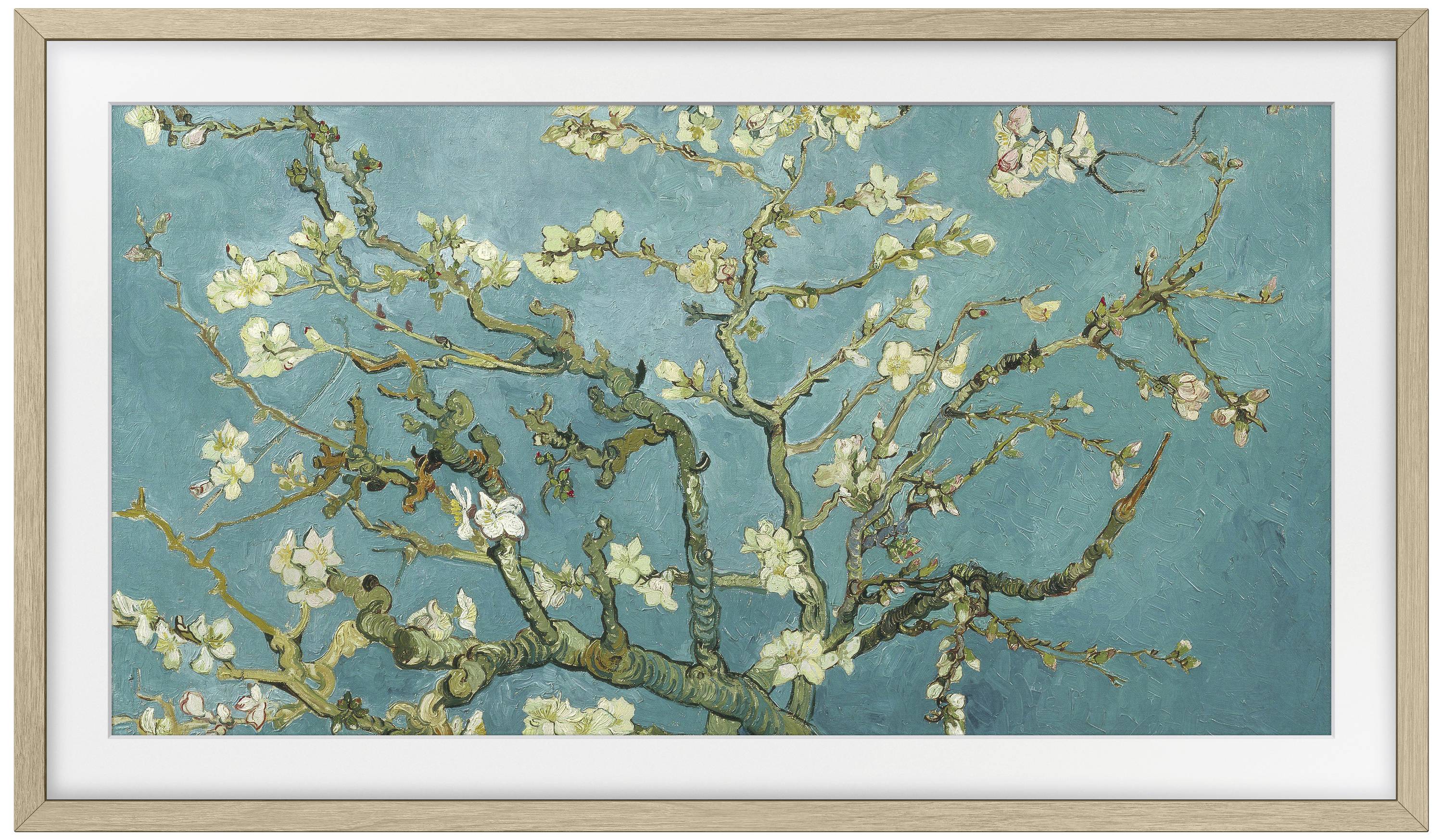 Ein Gemälde eines blühenden Mandelbaums mit weißen Blüten auf blau-grünem Hintergrund.