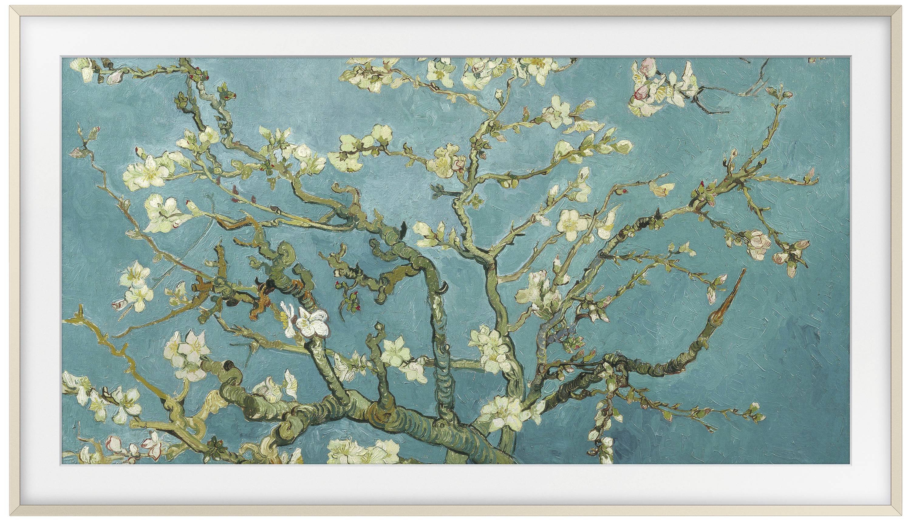 Samsung VG-SCFC85SGMXC TV Rahmen