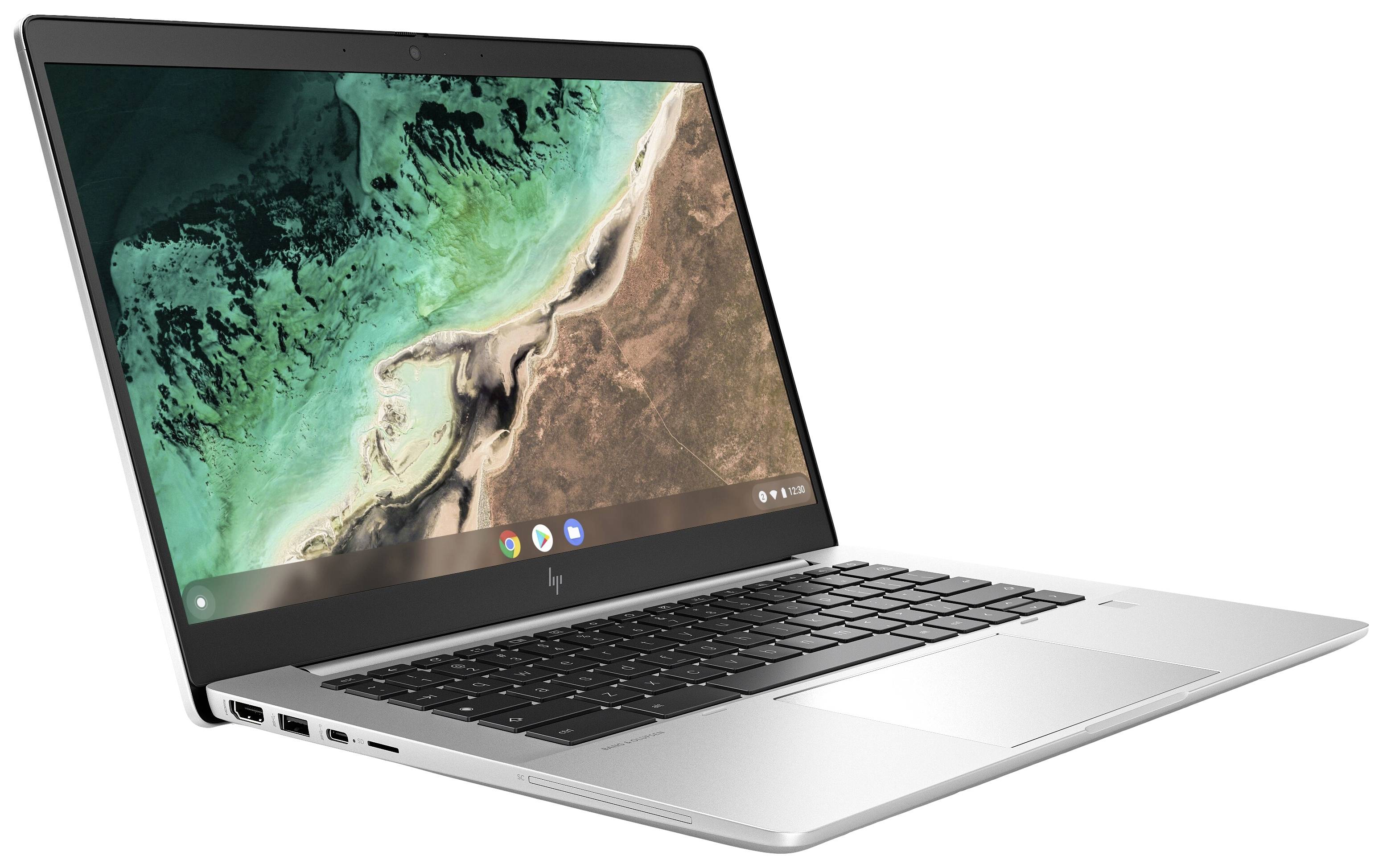 HP Chromebook Elite c645 G2 35.6cm (14 Zoll) Full HD AMD Ryzen 7 5825C 16GB RAM 256GB SSD AMD Radeon Graphics Chrome OS Silber
