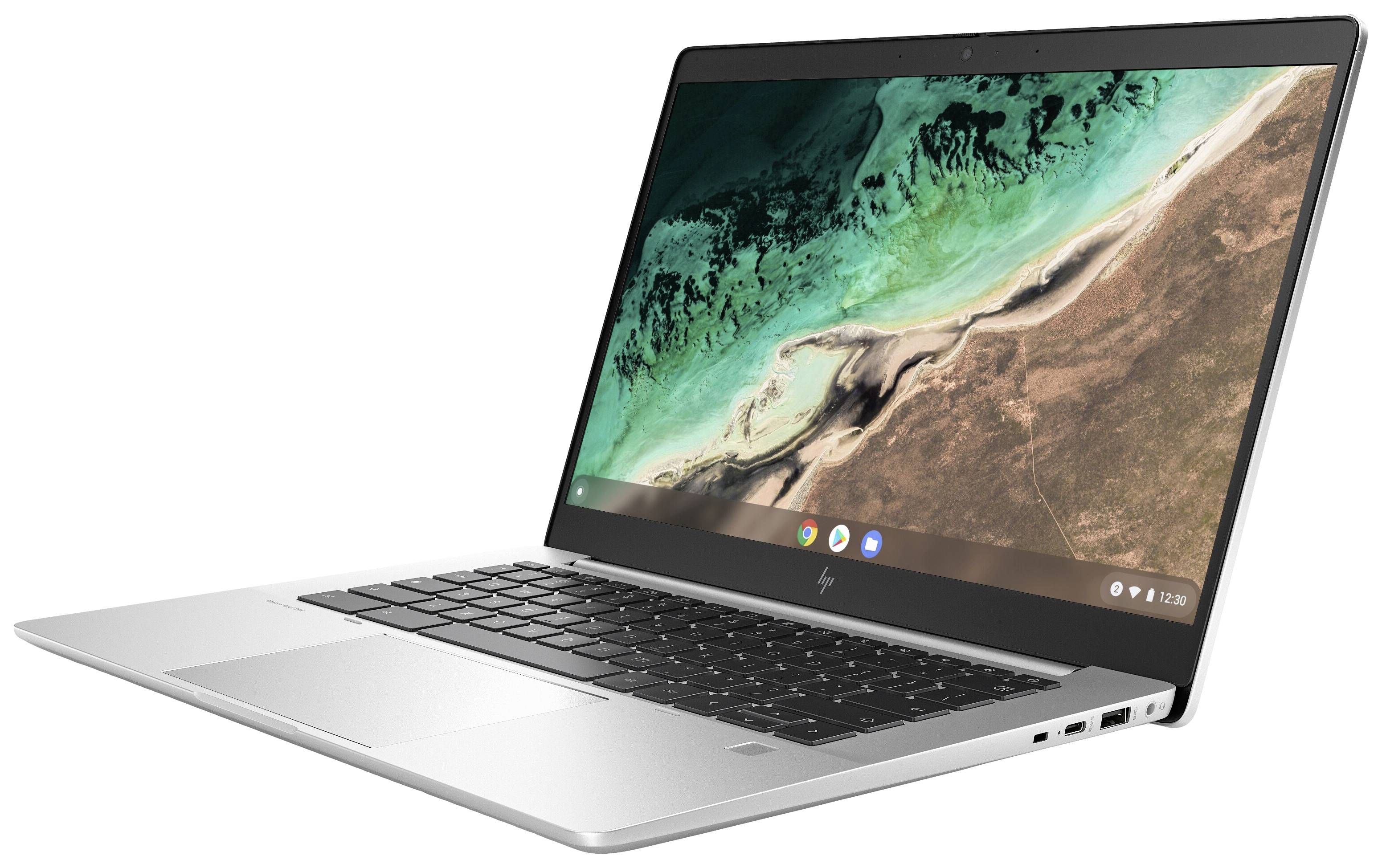 HP Chromebook Elite c645 G2 35.6cm (14 Zoll) Full HD AMD Ryzen 7 5825C 16GB RAM 256GB SSD AMD Radeon Graphics Chrome OS Silber