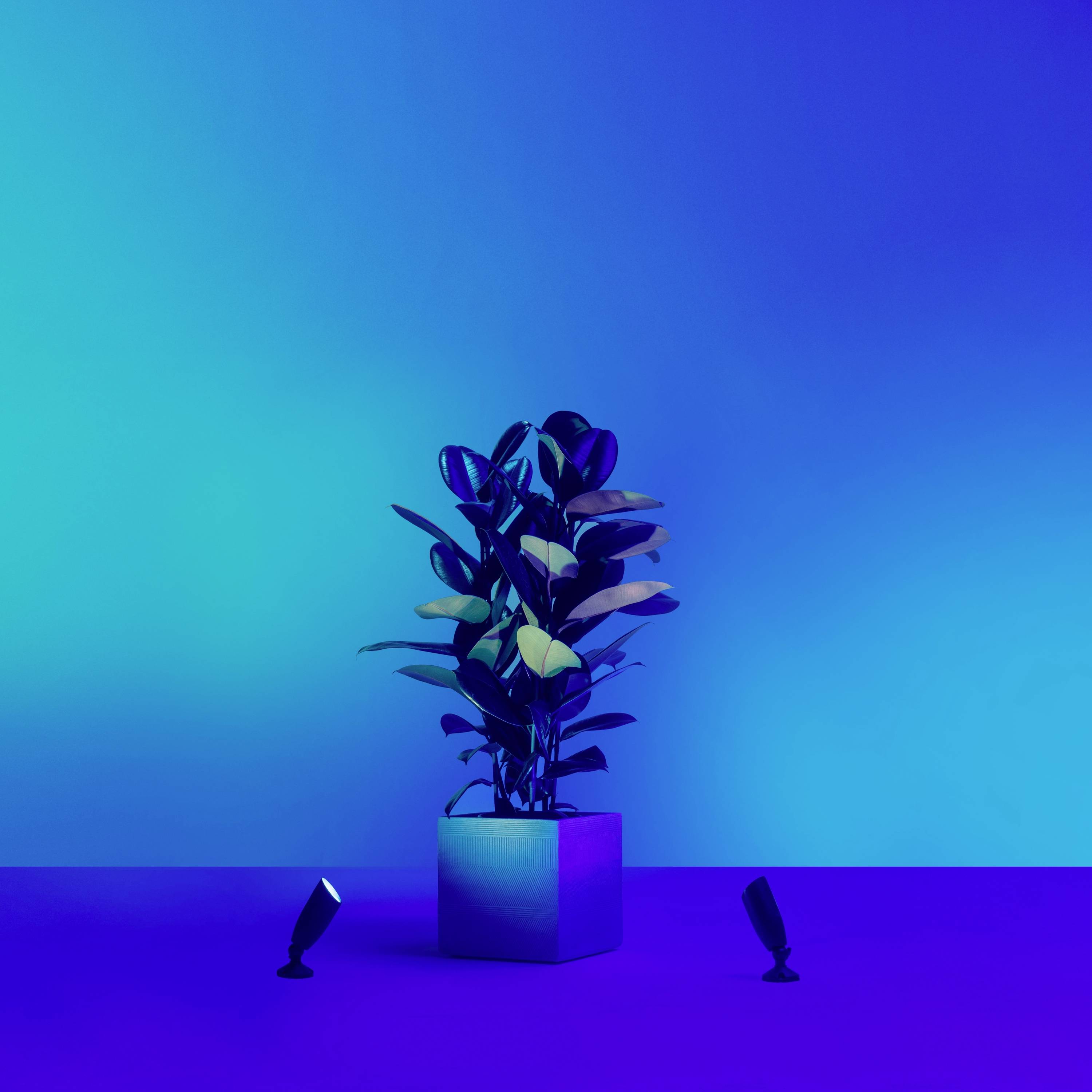 WiZ Ground Spot Extension 8720169071650 LED-Außenstrahler LED Schwarz