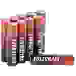 VOLTCRAFT Industrial LR03 Micro (AAA)-Batterie Alkali-Mangan 1350 mAh 1.5 V 10 St.