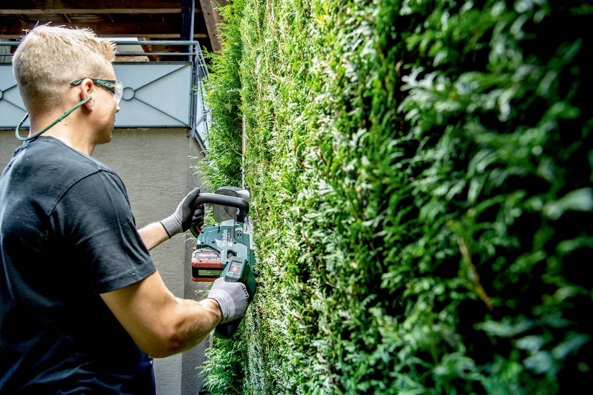 Mann schneidet mit elektrischer Heckenschere eine Hecke. Er trägt Sicherheitsausrüstung, darunter Schutzbrille und Handschuhe.