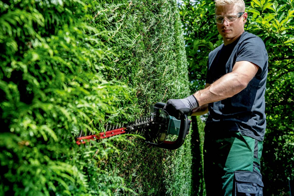 Eine Person schneidet mit einer elektrischen Heckenschere eine grüne Hecke. Sicherheitshandschuhe und Schutzbrille werden getragen.