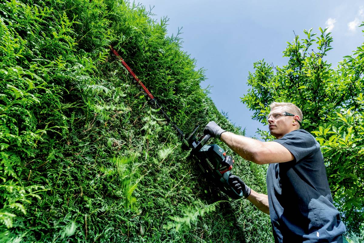 Ein Mann schneidet mit einer elektrischen Heckenschere eine hohe, dichte grüne Hecke. Der Himmel ist klar und blau.