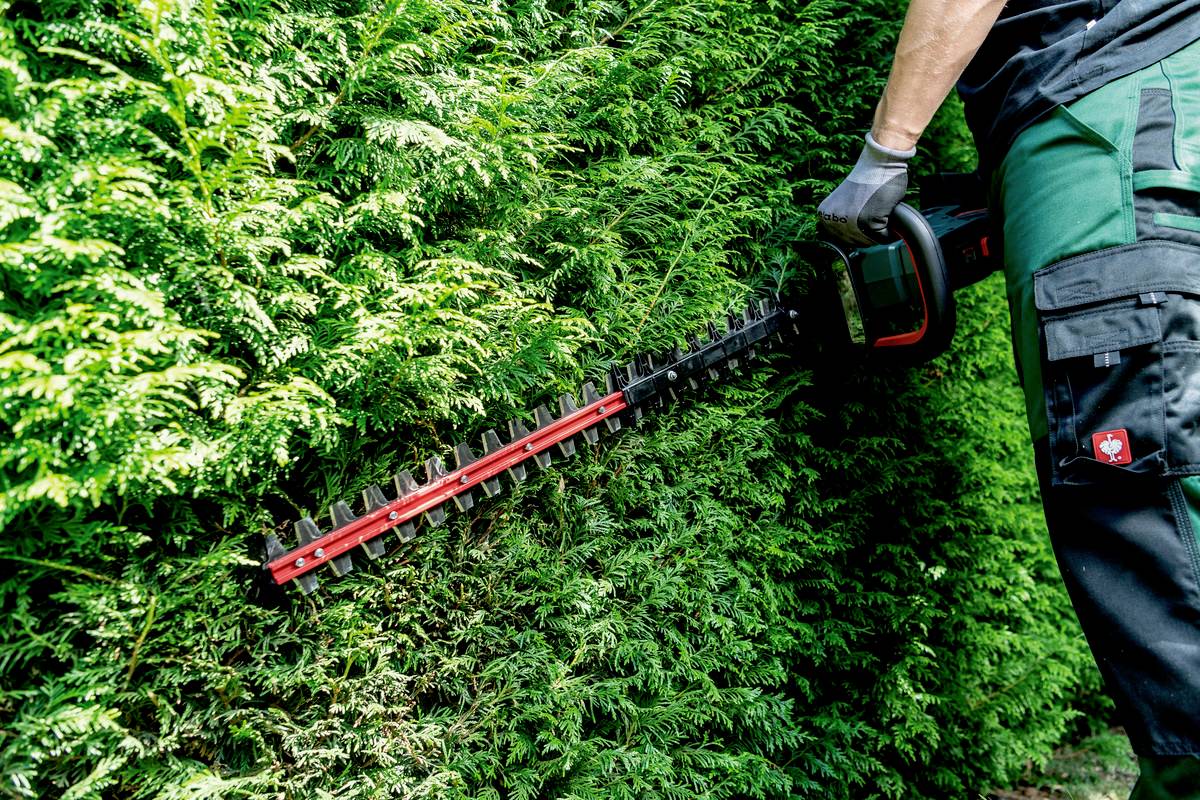 Person mit Heckenschere schneidet dichte grüne Hecke, trägt dunkle Arbeitskleidung und Handschuhe. Fokus auf präzises Trimmen.