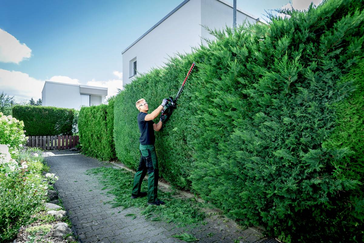Ein Mann schneidet mit einer elektrischen Heckenschere eine hohe grüne Hecke vor einem modernen weißen Haus.