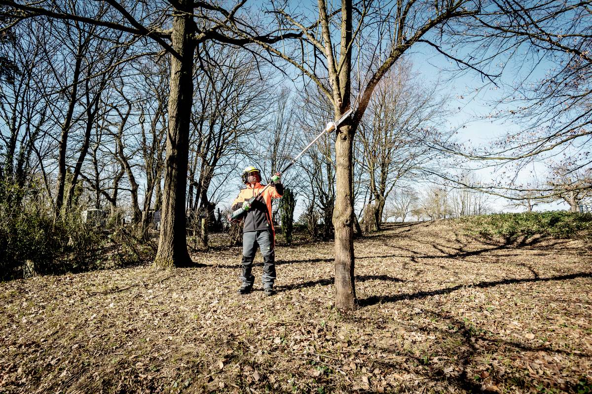 Metabo 601725850MA 36-18 LTX BL Q Akku Grasscheren-Universal-Streuaufsatz ohne Akku, ohne Ladegerät