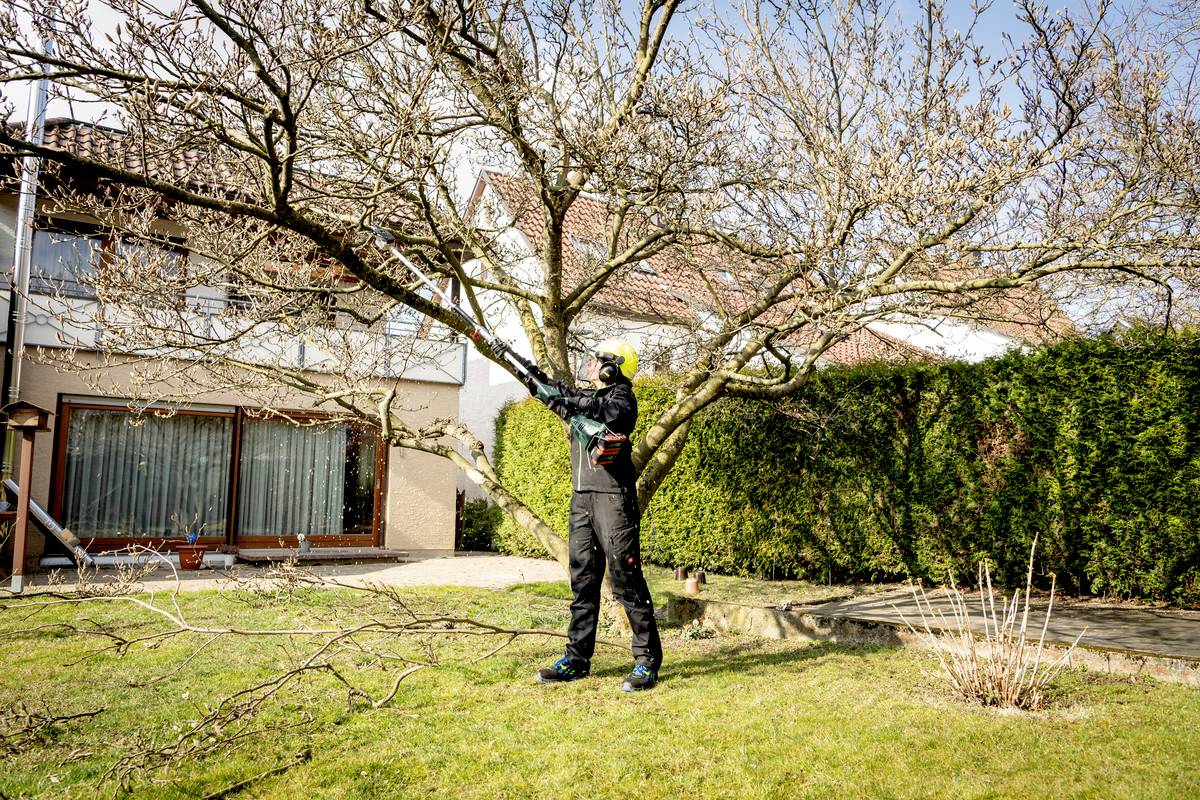 Eine Person schneidet Äste von einem großen, unbelaubten Baum im Garten eines Wohnhauses. Sie trägt Schutzkleidung und Helm.