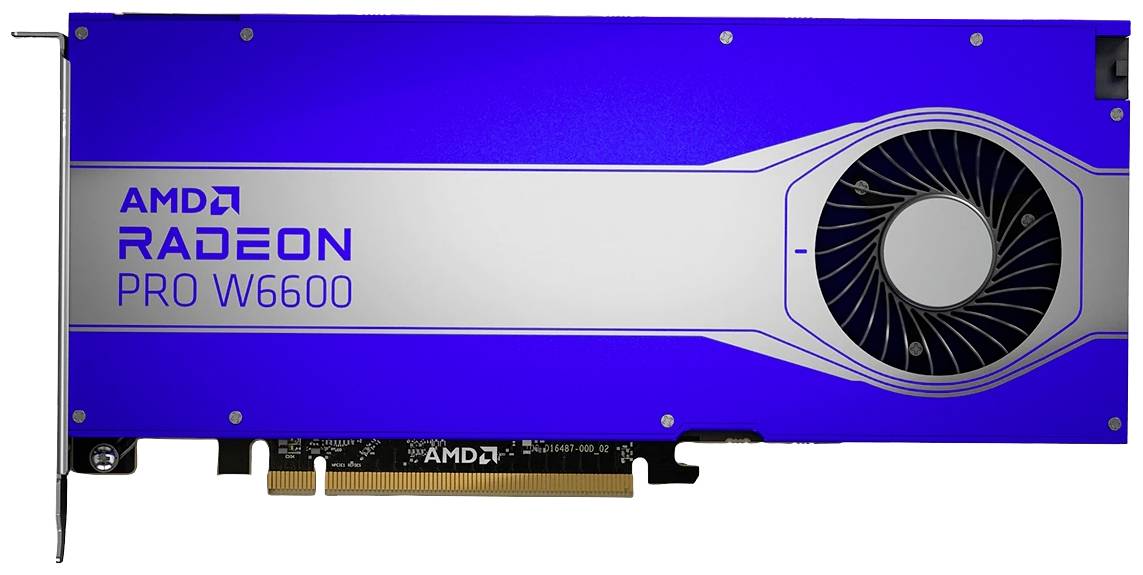 AMD Workstation-Grafikkarte AMD Radeon Pro W6600 8 GB GDDR6-RAM PCIe DisplayPort