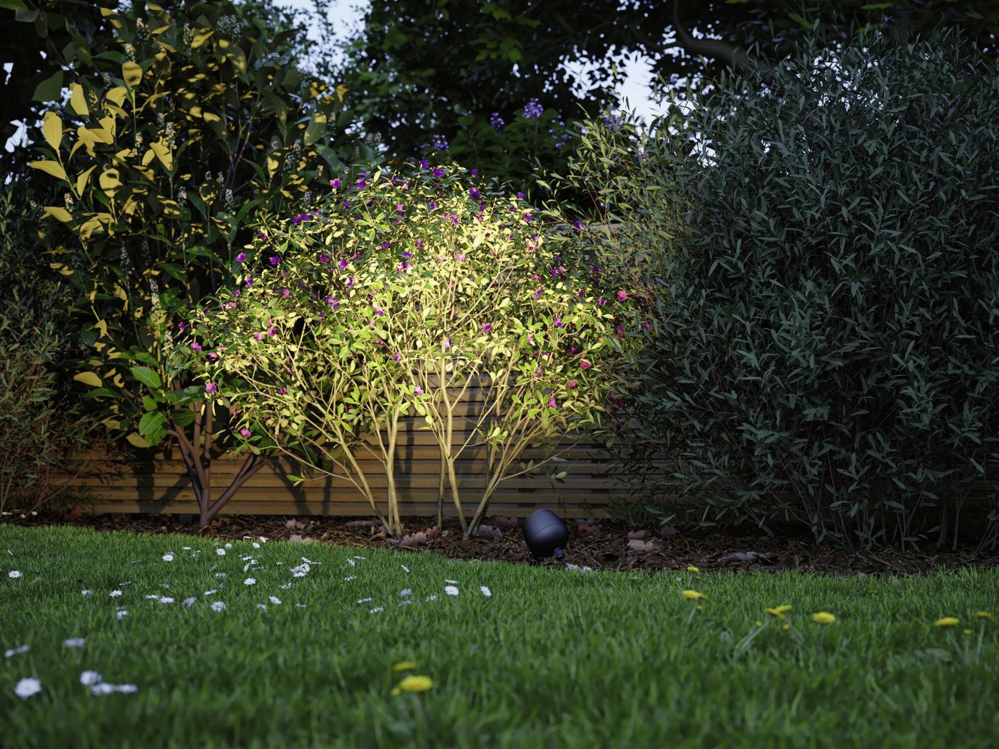 Paulmann 94769 Beleuchtungssystem Plug & Shine LED-Gartenstrahler LED 6.2W RGB Anthrazit