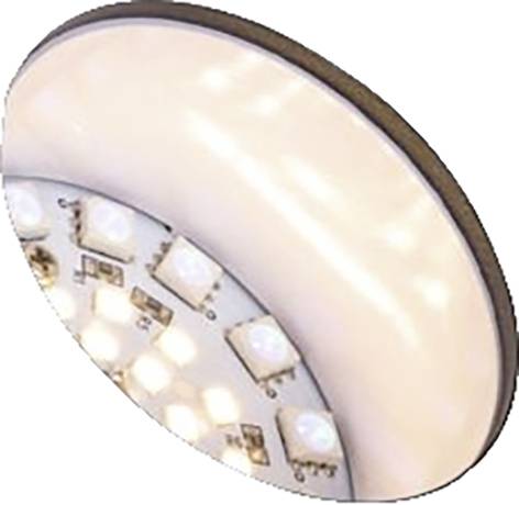 Paulmann 94769 Beleuchtungssystem Plug & Shine LED-Gartenstrahler LED 6.2W RGB Anthrazit