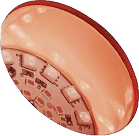 Paulmann 94769 Beleuchtungssystem Plug & Shine LED-Gartenstrahler LED 6.2W RGB Anthrazit