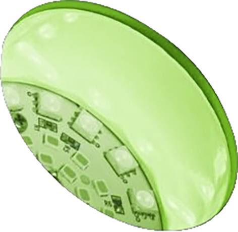 Paulmann 94769 Beleuchtungssystem Plug & Shine LED-Gartenstrahler LED 6.2W RGB Anthrazit