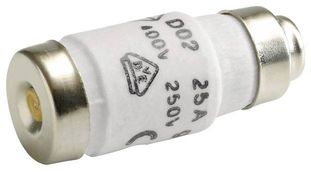 Weiße elektrische Sicherung mit Metallkappen an beiden Enden, beschriftet mit 'D02 25A 250V', verwendet zur Stromkreisunterbrechung.