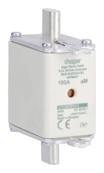 Ein elektrischer Sicherungsblock von Hager mit silbernen Anschlussklemmen, 100A angegeben.