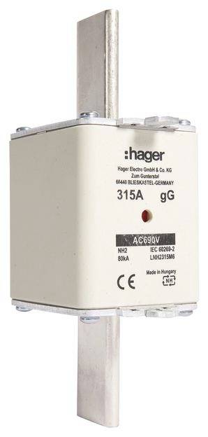 Sicherungseinsatz von Hager mit der Aufschrift '315A gG'.