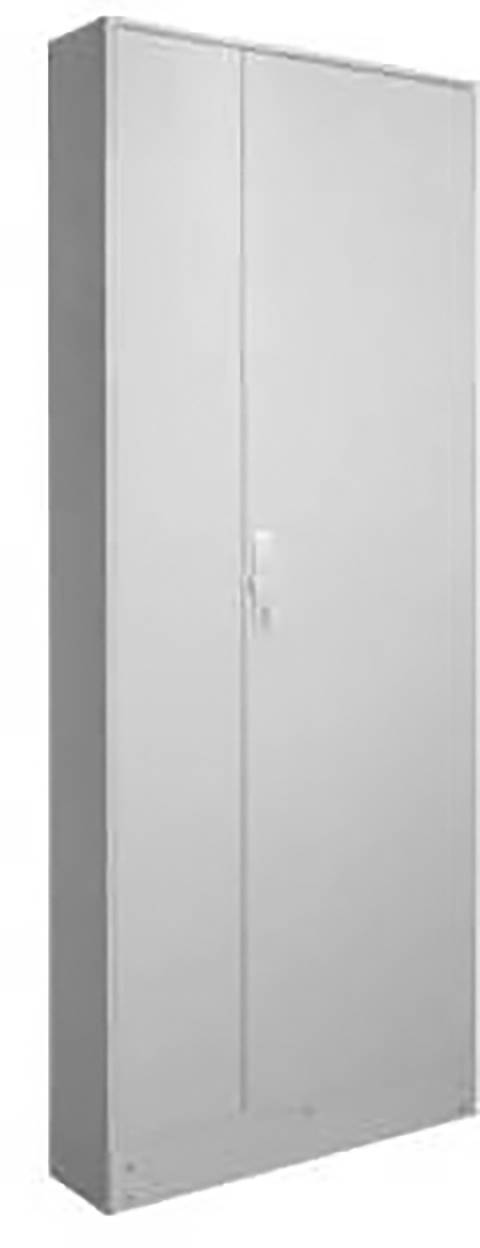 Ein hoher, schmaler Metallschrank mit zwei Türen und einem kleinen Griff, ideal zur Aufbewahrung in Büros oder Lagerräumen.
