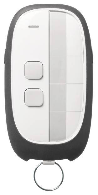 Ein rechteckiger Autoschlüssel mit zwei sichtbaren Tasten und einem Schlüsselring unten; umrandet von schwarzem Plastik.