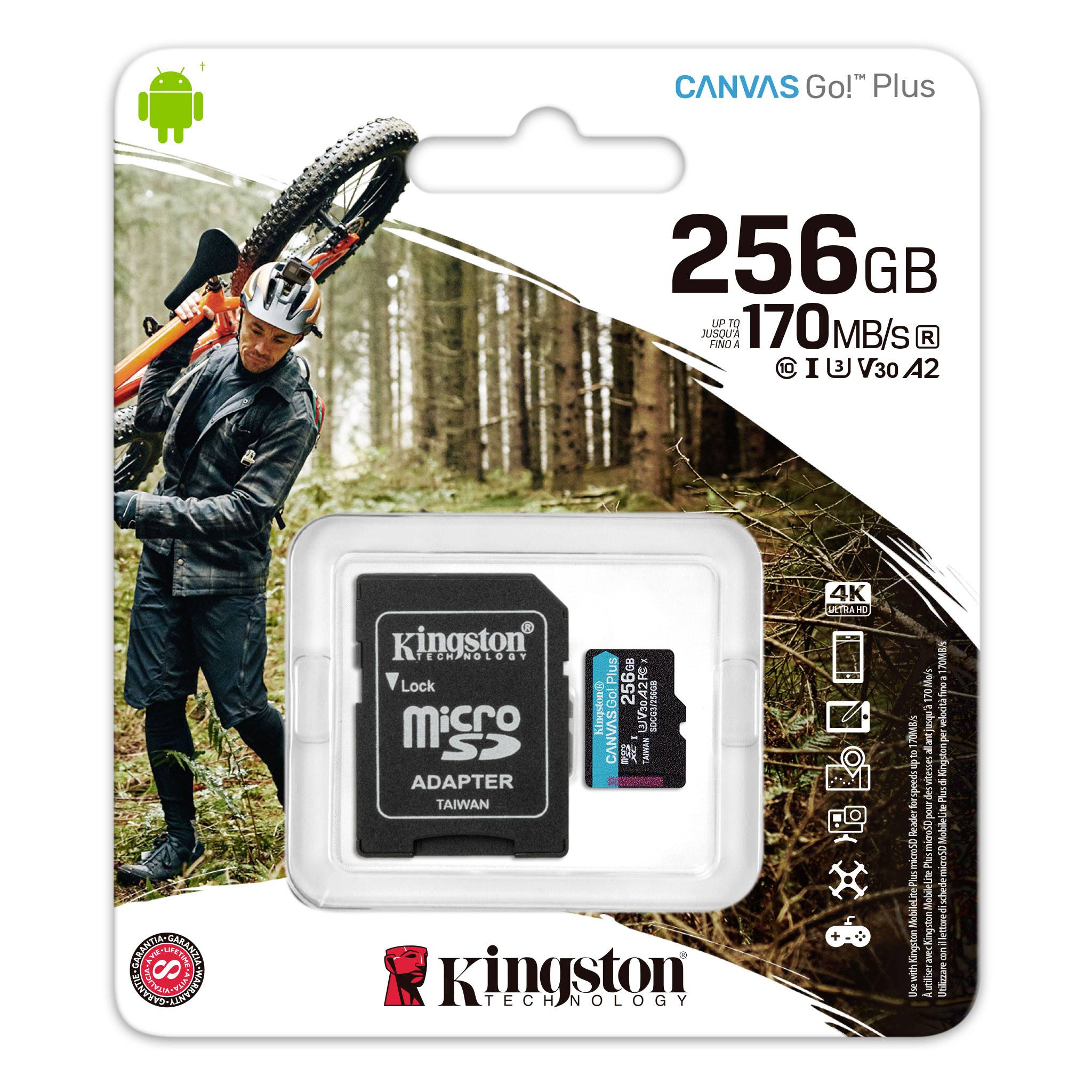 Kingston Canvas Go! Plus SD-Karte 256 GB Class 10 UHS-I inkl. SD-Adapter
