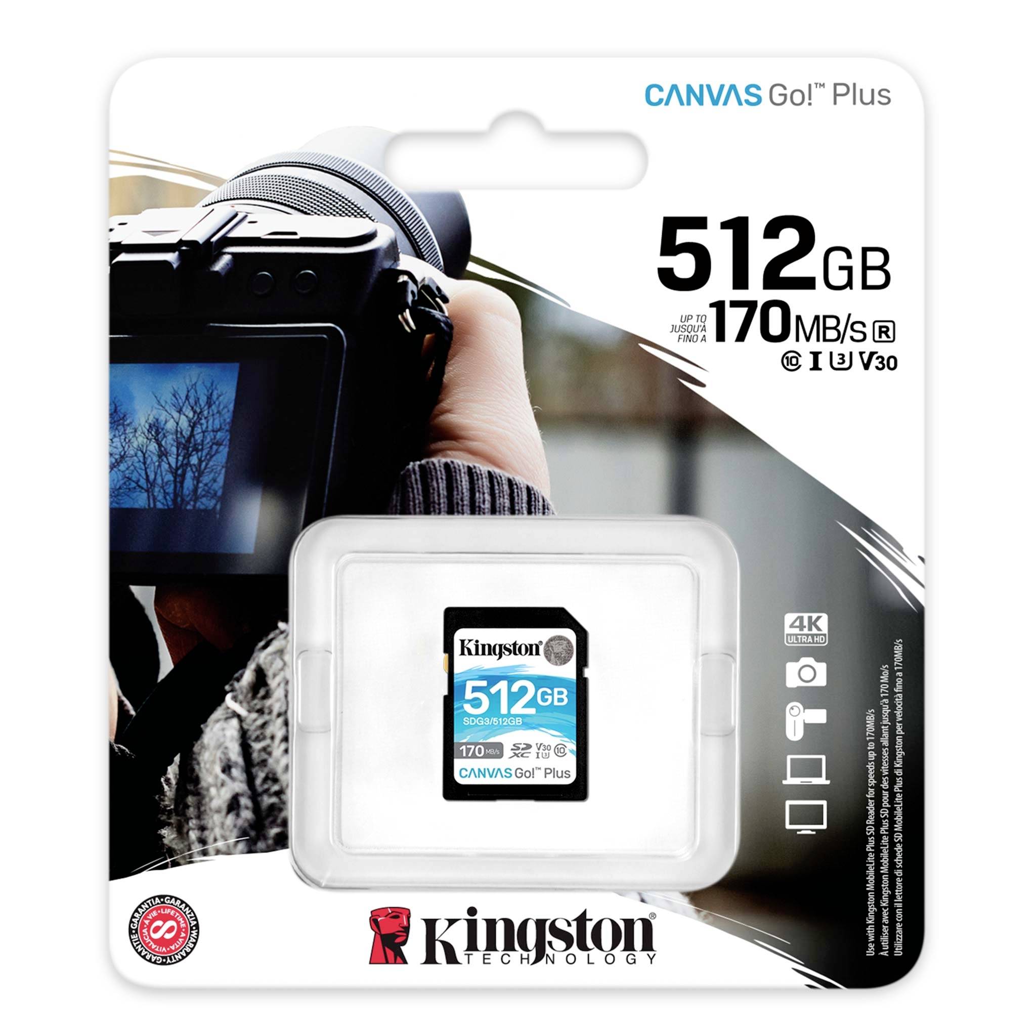 Kingston Canvas Go! Plus SD-Karte 512GB Class 10 UHS-I