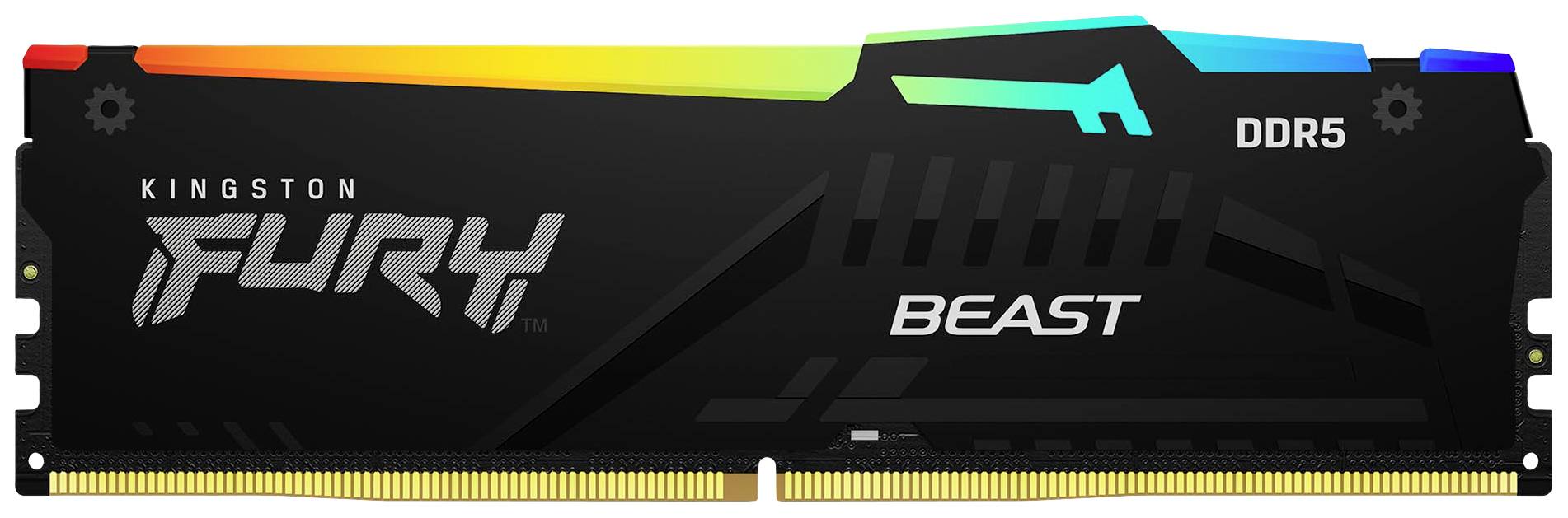Kingston FURY Beast RGB PC-Arbeitsspeicher Modul DDR5 16 GB 1 x 16 GB Non-ECC 5600 MHz 288pin DIMM CL40 KF556C40BBA-16