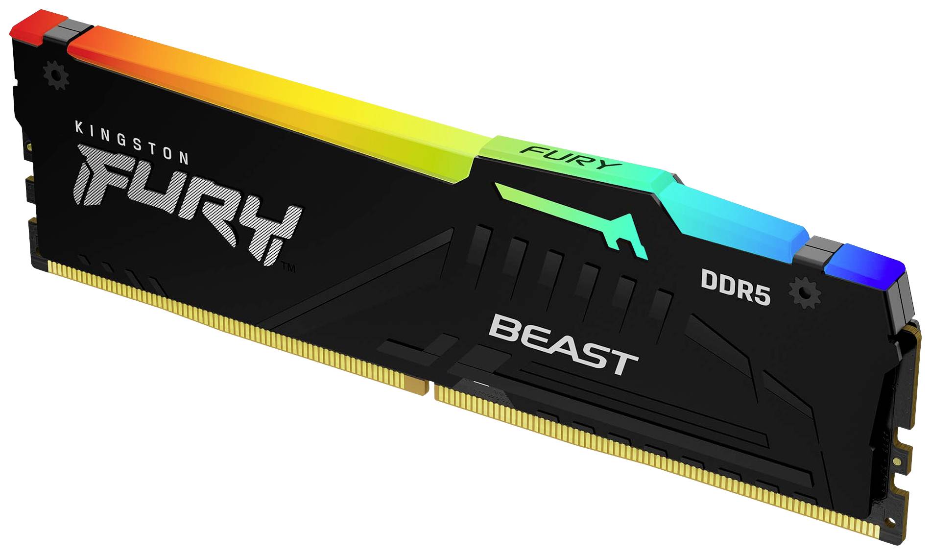 Kingston FURY Beast RGB PC-Arbeitsspeicher Modul DDR5 8 GB 1 x 8 GB Non-ECC 5600 MHz 288pin DIMM CL36 KF556C36BBEA-8