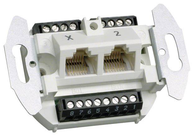 Modulartiger Netzwerkanschlussblock mit zwei RJ45-Buchsen und mehreren Schraubanschlüssen zum Anschluss von Netzwerkkabeln.
