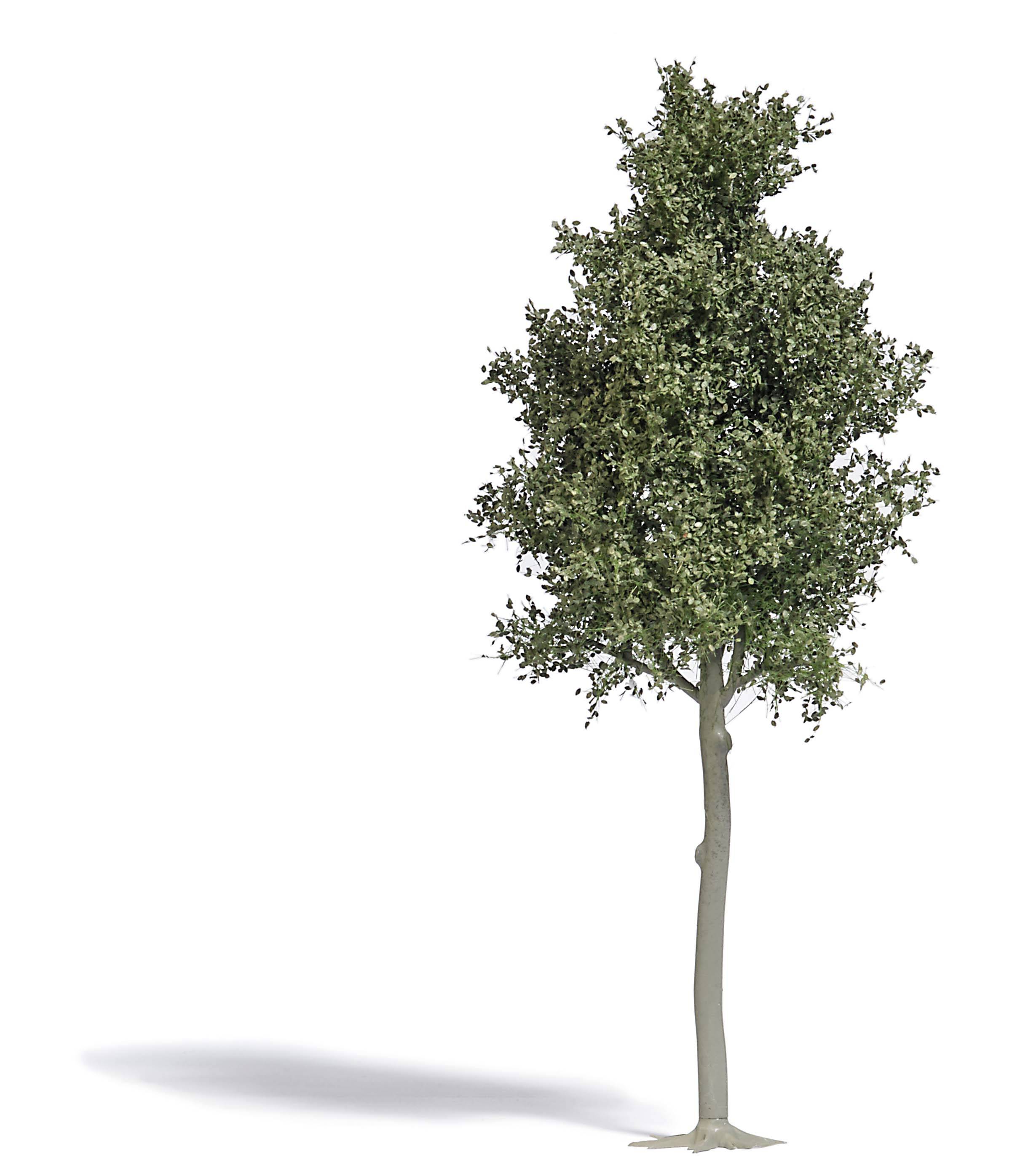 Busch 3798 Baum Buche 1St.