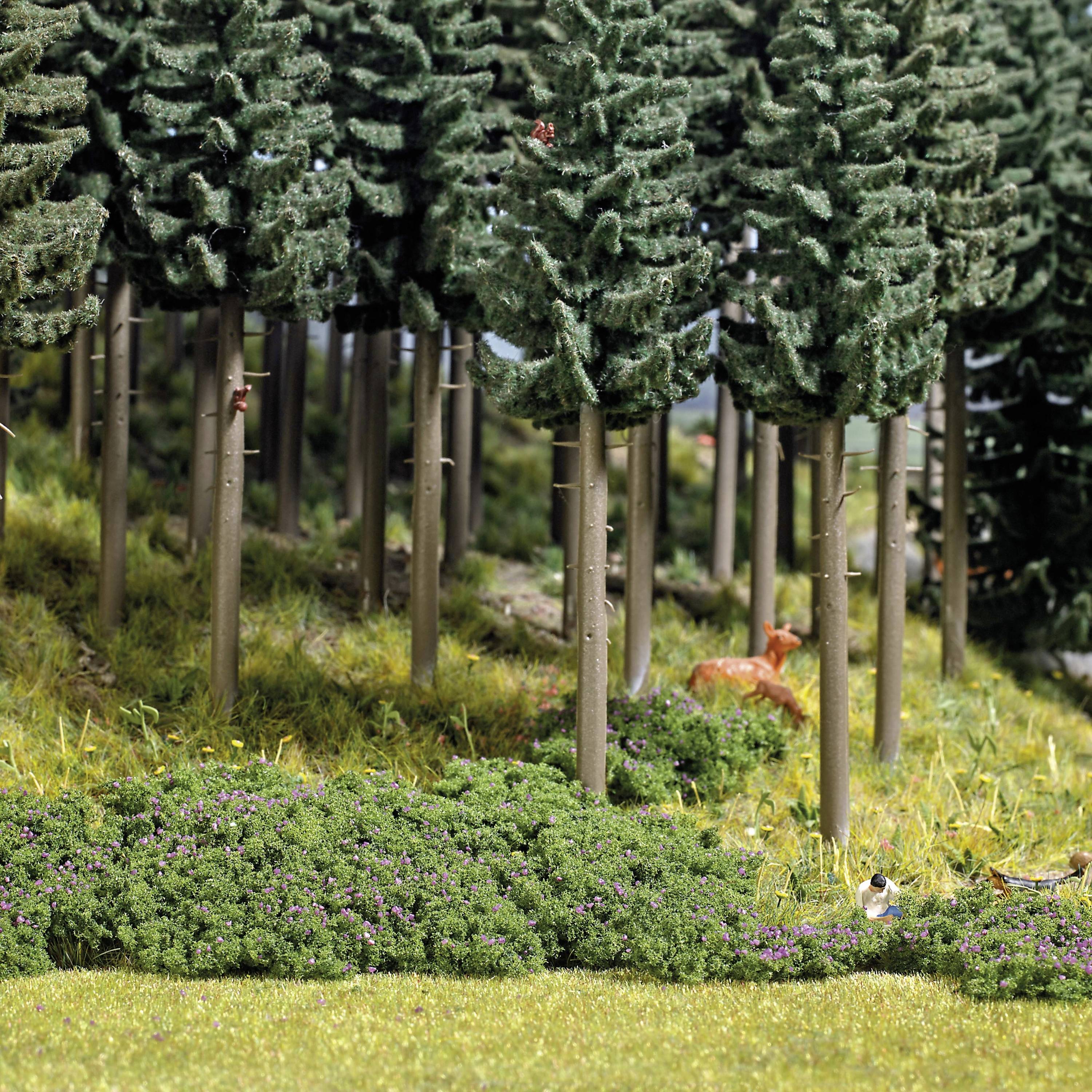 Ein Reh steht im schattigen Wald, umgeben von hohen, grünen Tannen. Der Boden ist mit Moos bedeckt. Stille, natürliche Szene.