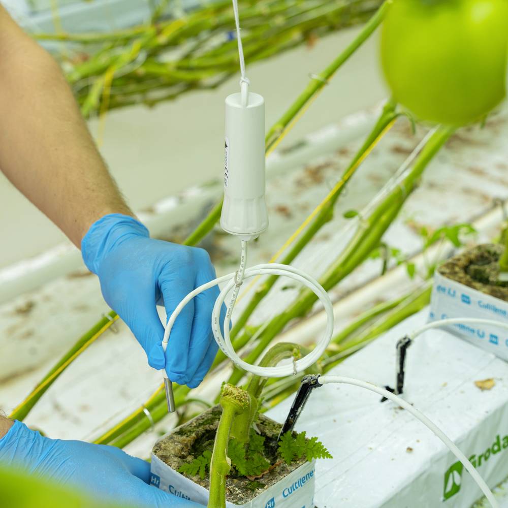 Aranet TDSPT002.050 Temperatur-Datenlogger Messgröße Temperatur -55 bis 105°C