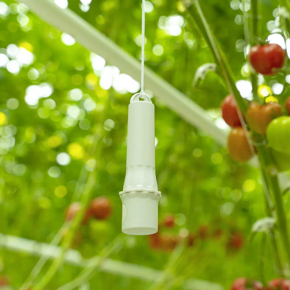 Aranet TDSPC005 Kohlendioxid-Datenlogger 0 bis 50°C 0.3 - 1.1 bar