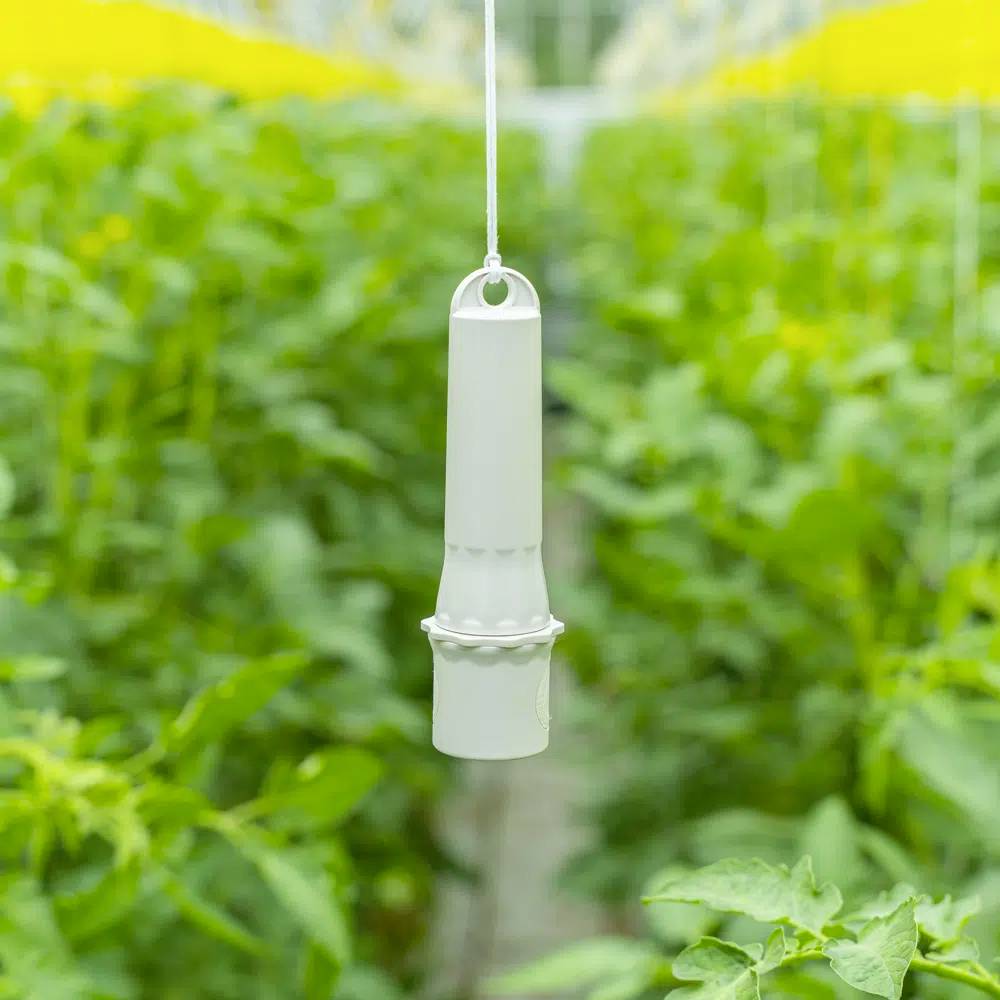 Aranet TDSPC005 Kohlendioxid-Datenlogger 0 bis 50°C 0.3 - 1.1 bar