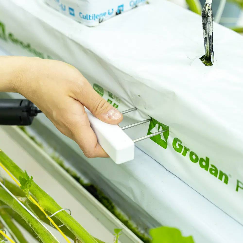 Aranet TDSPHW02 Bodenfeuchte-Datenlogger