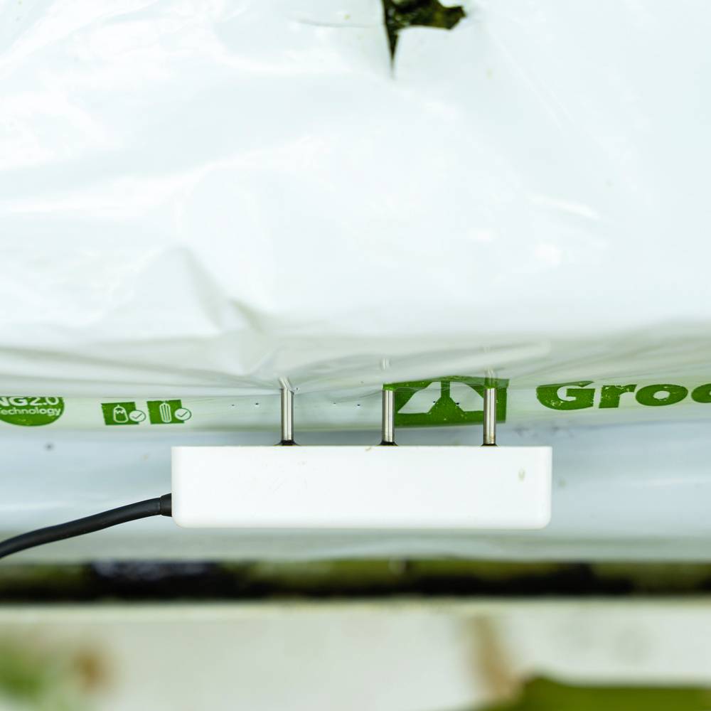 Aranet TDSPHW02 Bodenfeuchte-Datenlogger