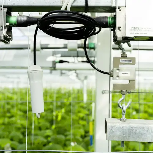 Aranet TDSPSV02.100 Gewichts-Datenlogger Aranet TDSPSV02.100 Gewichts-Datenlogger