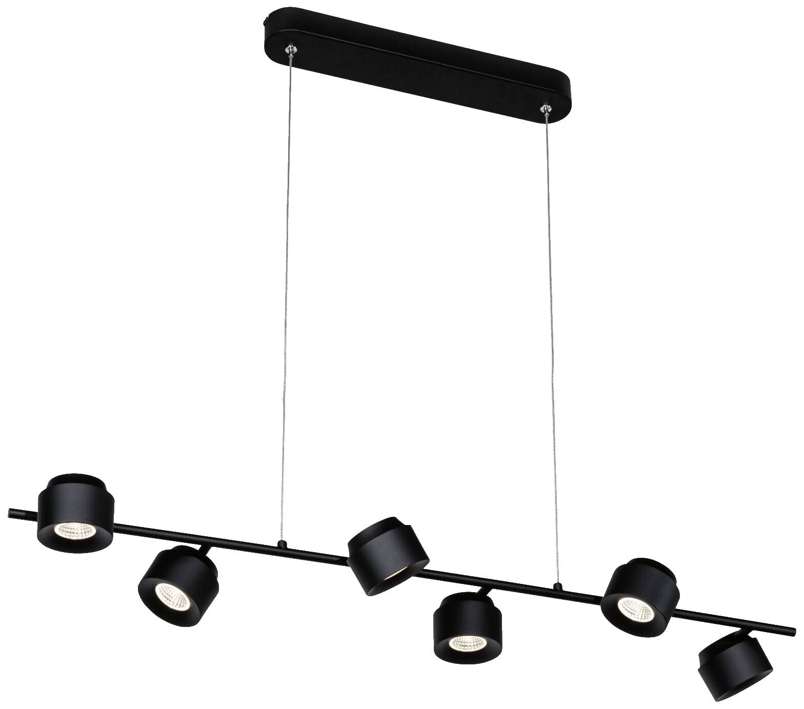 Paulmann Puric Pane I 79773 LED-Pendelleuchte LED 28W Schwarz