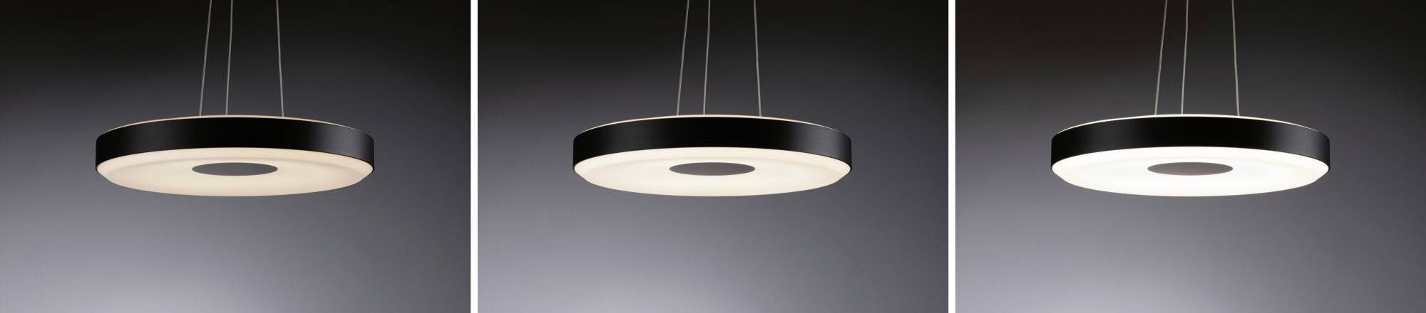 Paulmann Pane II 79517 LED-Pendelleuchte LED 22W Schwarz, Grau