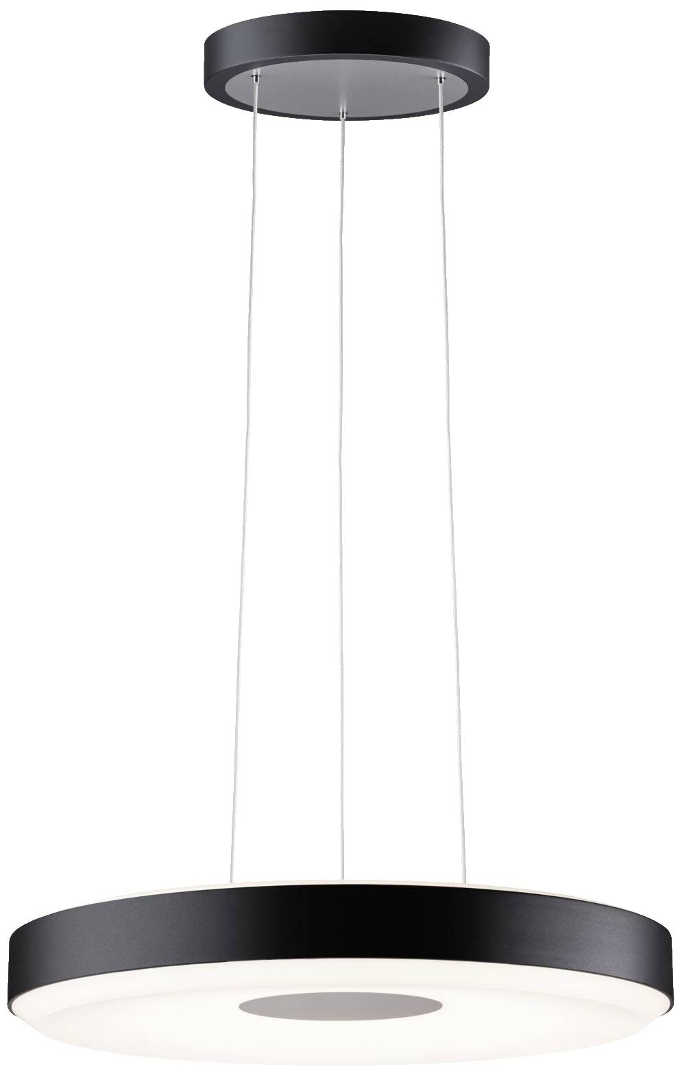 Paulmann Pane II 79517 LED-Pendelleuchte LED 22W Schwarz, Grau