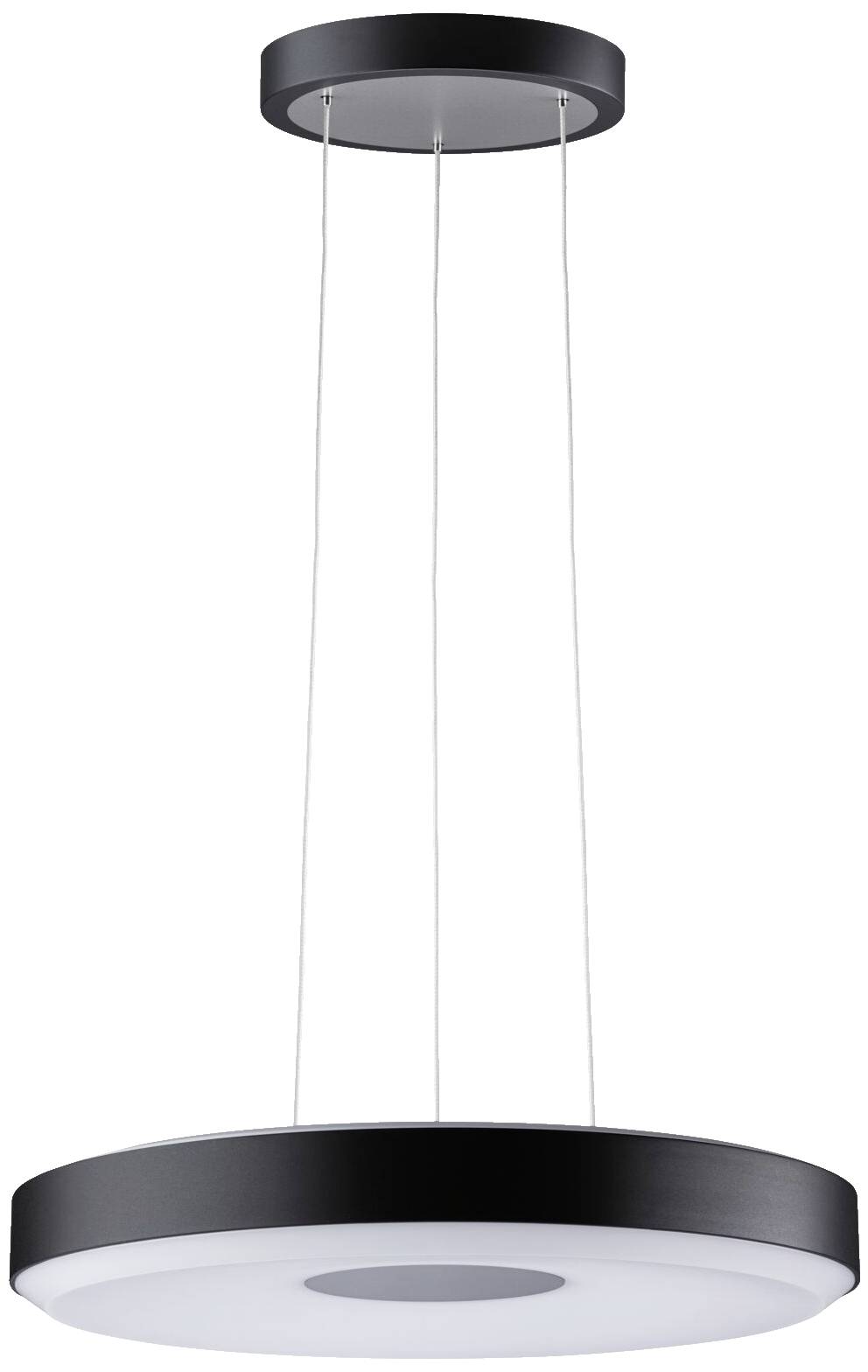 Paulmann Pane II 79517 LED-Pendelleuchte LED 22W Schwarz, Grau