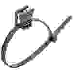 Cimco 181825 Kabelbinder mit Clip 200mm 4.60mm Schwarz UV-stabilisiert, flexibel 100St.