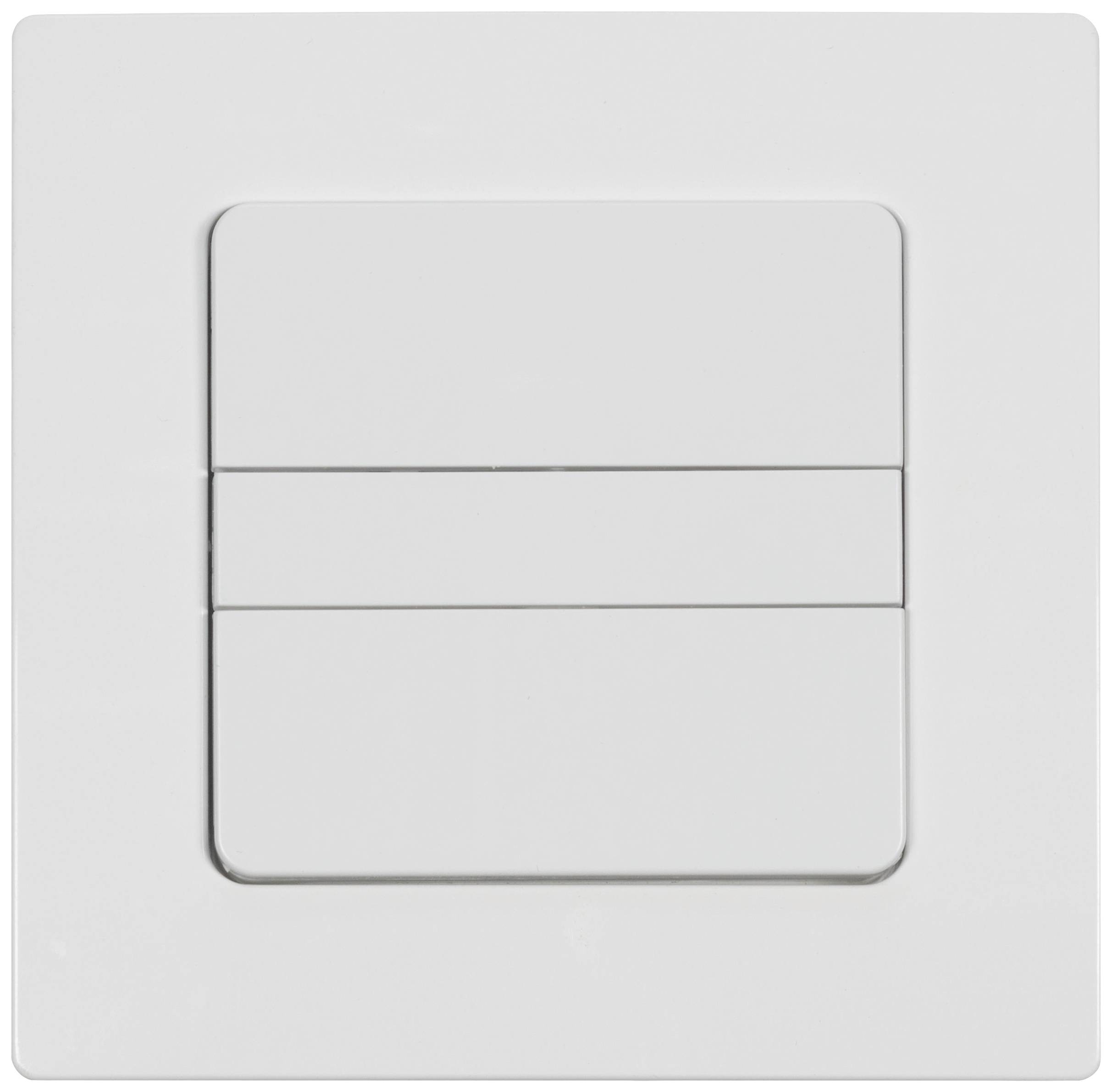 HOMEPILOT 12501001 Funk Wandtaster Aufputz