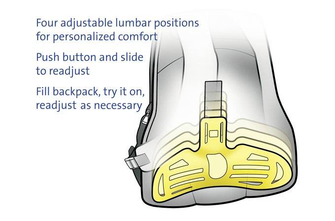 Rückseite eines Rucksacks mit verstellbarer Lendenstütze und Anleitung zur Anpassung: 'Knopf drücken und verschieben, nach Wunsch einstellen'.