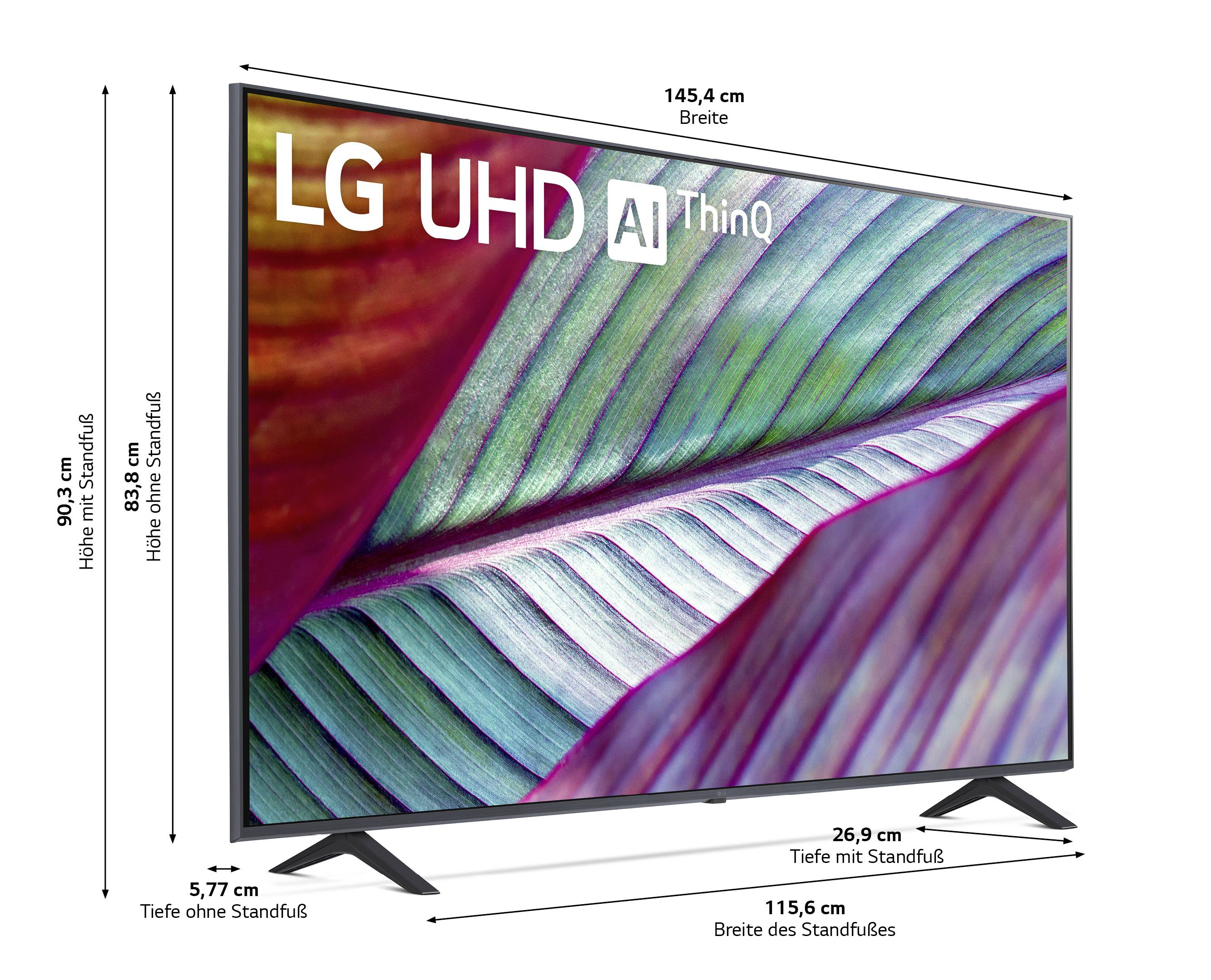 LG Electronics 65UR78006LK.AEUD LCD-TV 165 cm 65 Zoll EEK F (A - G) CI+, DVB-C, DVB-S2, DVB-T2, WLAN, UHD, Smart TV Schwarz