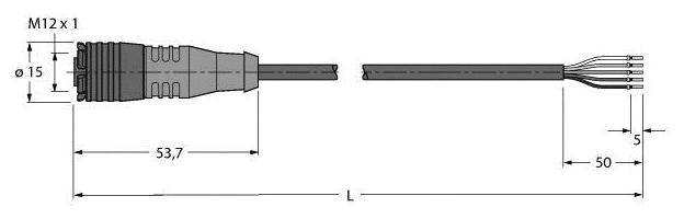 Technische Zeichnung eines M12-Steckers mit Dimensionen: Länge 53,7 mm, Stecker Durchmesser 15 mm. Kabelenden links freigelegt.