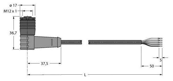 Technische Zeichnung eines Steckverbinders mit Abmessungen: Durchmesser 17 mm, Längen 36,7 mm, 37,5 mm, 50 mm, 5 mm.