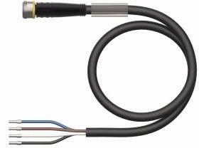 Schwarzes Kabel mit vier herausragenden farbigen Drähten: blau, braun, schwarz und grau, endend in einem silbernen Stecker.