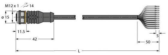 Technische Zeichnung eines Kabelsteckers mit M12 x 1 Gewinde. Länge L des Kabels mit seitlicher Abmessung 50 mm, Steckerlänge 42 mm.