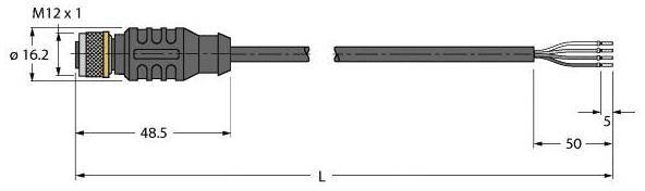 Diagramm eines M12-Steckers mit Kabel. Maße: Durchmesser 16,2 mm, Länge 48,5 mm bis Steckerende, Gesamtlänge 50 mm.
