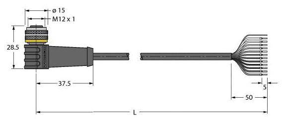Diagramm eines industriellen Steckers mit M12-Gewinde, links, verbunden mit einem Kabelbaum, rechts, mit Maßangaben in mm.